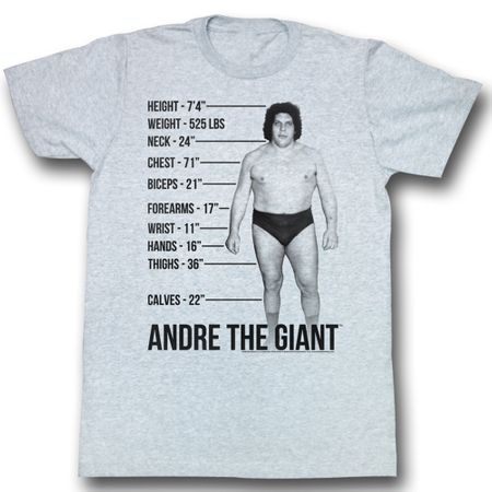 Andre The Giant Shirt Giant Specs Adult Grey Tee T-Shirt