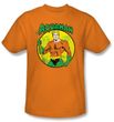Aquaman Kids T-shirt - DC Comics Superhero Orange Youth