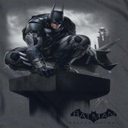 Arkham Knight Perched Shirts