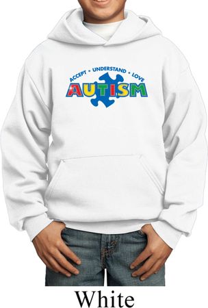 Autism Accept Understand Love Kids Hoody