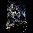 Batman Juniors T-Shirt - Perched Black Tee