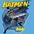 Batman T-Shirt - Taste The Metal Adult Carolina Blue Tee
