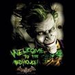 Batman T-Shirt - Welcome To The Madhouse Adult Black