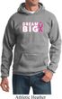 Breast Cancer Awareness Dream Big Hoodie