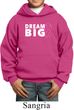 Breast Cancer Awareness Dream Big Kids Hoody