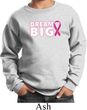 Breast Cancer Awareness Dream Big Kids Sweat Shirt