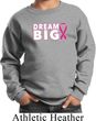 Breast Cancer Awareness Dream Big Kids Sweat Shirt