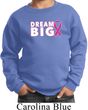 Breast Cancer Awareness Dream Big Kids Sweat Shirt