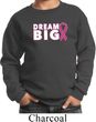 Breast Cancer Awareness Dream Big Kids Sweat Shirt