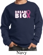 Breast Cancer Awareness Dream Big Kids Sweat Shirt