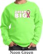 Breast Cancer Awareness Dream Big Kids Sweat Shirt
