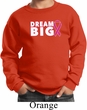 Breast Cancer Awareness Dream Big Kids Sweat Shirt