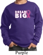 Breast Cancer Awareness Dream Big Kids Sweat Shirt