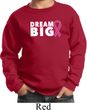 Breast Cancer Awareness Dream Big Kids Sweat Shirt