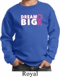 Breast Cancer Awareness Dream Big Kids Sweat Shirt