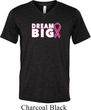 Breast Cancer Awareness Dream Big Mens Tri Blend V-neck Shirt