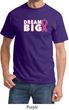 Breast Cancer Awareness Dream Big Shirt