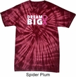 Breast Cancer Awareness Dream Big Spider Tie Dye Shirt