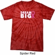 Breast Cancer Awareness Dream Big Spider Tie Dye Shirt