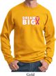 Breast Cancer Awareness Dream Big Sweatshirt