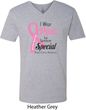 Breast Cancer Awareness Pink For Someone Special Mens V-Neck Shirt
