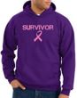 Breast Cancer Hoodie Sweatshirt - Ribbon Survivor Adult Purple Hoody