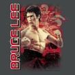 Bruce Lee Juniors T-shirt Fury Charcoal