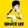 Bruce Lee Kids T-shirt Youth Suit Splatter Yellow