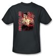 Bruce Lee T-shirt Adult Fury Charcoal
