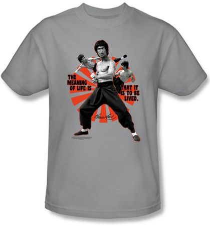 Bruce Lee T-shirt Adult Meaning Of Life Gray