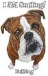 Bulldog T-shirt - I Am Smiling Adult Tee Shirt