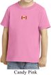Canada Flag Patch Small Print Toddler T-shirt