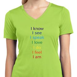 Chakra Words Ladies Moisture Wicking V-neck Shirt