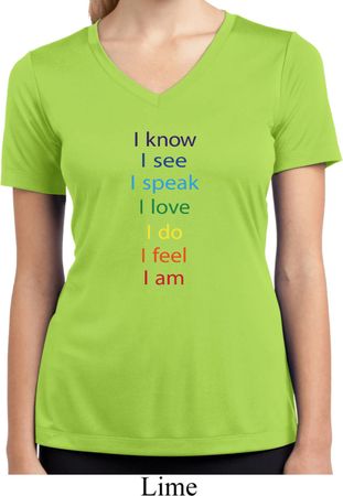 Chakra Words Ladies Moisture Wicking V-neck Shirt