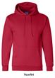 Champion Hoodie Sweatshirt Eco Fleece Hooded Sweatshirt