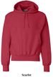 Champion Hoodie Sweatshirt Reverse Weave Fleece Hooded Sweat Shirt