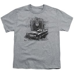 Chevy Kids Shirt Monte Carlo Sports Grey T-Shirt