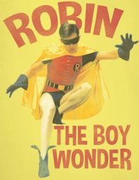 Classic Batman Boy Wonder Shirts