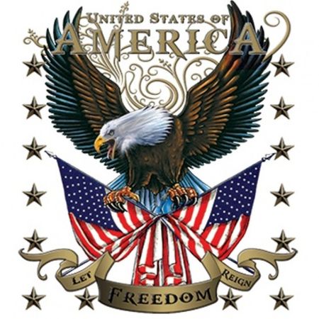 American Eagle Let Freedom Reign Patriotic Tee