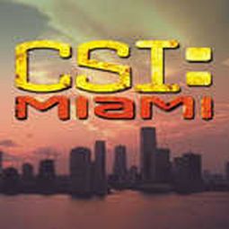 CSI: Miami T-Shirts