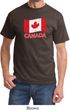 Distressed Canada Flag Shirt
