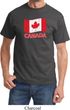 Distressed Canada Flag Shirt
