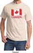 Distressed Canada Flag Shirt