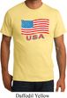 Distressed USA Flag Mens Organic Shirt