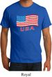 Distressed USA Flag Mens Organic Shirt