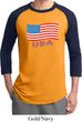 Distressed USA Flag Mens Raglan Shirt