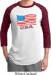 Distressed USA Flag Mens Raglan Shirt