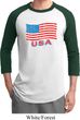 Distressed USA Flag Mens Raglan Shirt
