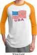 Distressed USA Flag Mens Raglan Shirt