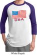 Distressed USA Flag Mens Raglan Shirt